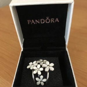 Pandora Daisy trio